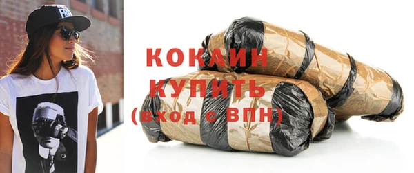 шишки Белоозёрский