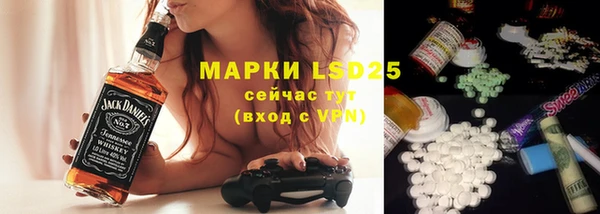 шишки Белоозёрский