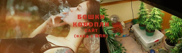 шишки Белоозёрский