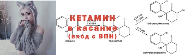 шишки Белоозёрский