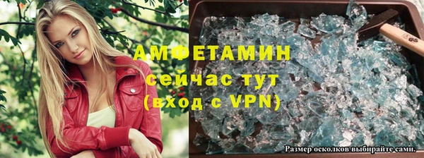 шишки Белоозёрский